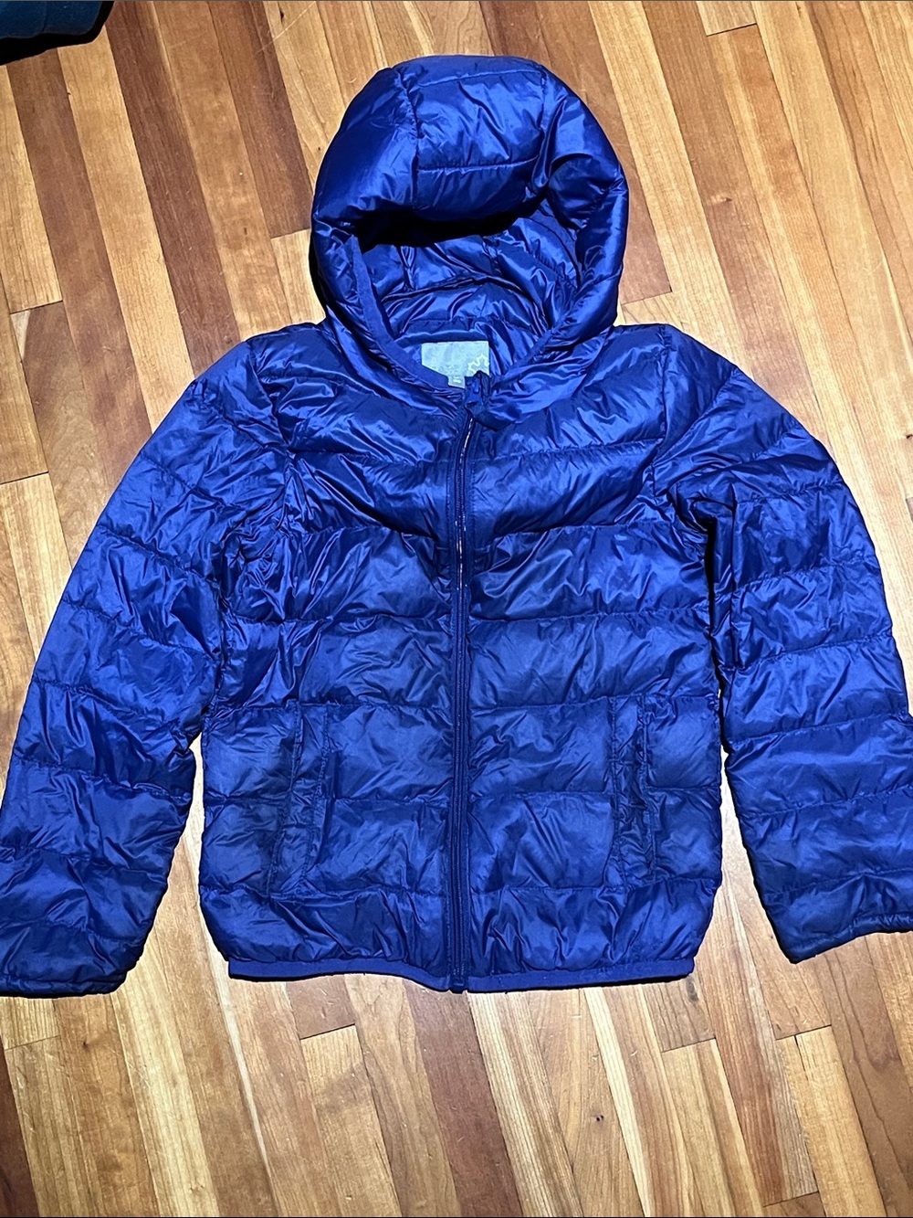 Hooded Puffer Jacket - Royal Blue